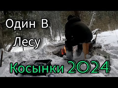 Видео: + 5 ШТУК. НЕ ОЖИДАЛ ТАКОГО ПОД ВЕЧЕР. ЭКСПЕРИМЕНТ; СТАВЛЮ ЯЧЕЮ 40мм. НЫНЧЕ Я ТУТ ВПЕРВЫЕ.