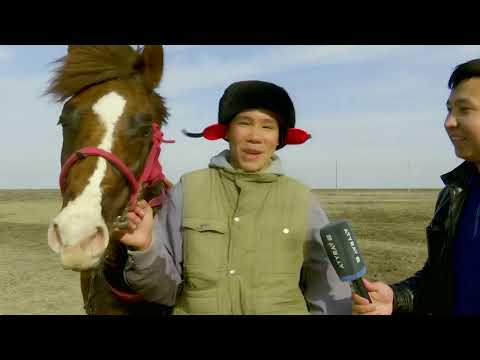 Видео: Ақжарқын тұрғындары бар - Ақжайық ауылы / Ауылым / 16.03.2025