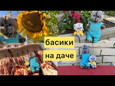 Видео: Целый день с басиками на даче 😍