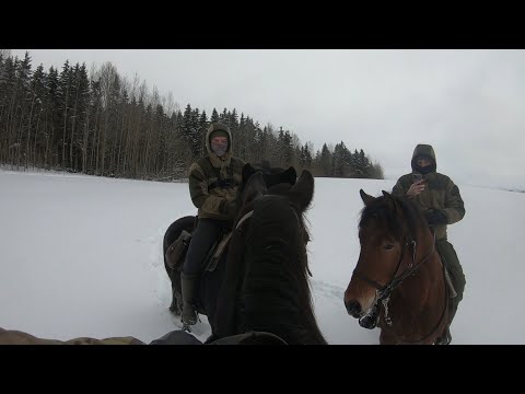 Видео: КОНИ ЧУТЬ НЕ ПОДРАЛИСЬ! ВСТРЕТИЛИ ЗАБЛУДИВШЕГОСЯ ВСАДНИКА! ОБЕД У КОСТРА. ПОХОД НА ЛОШАДЯХ.