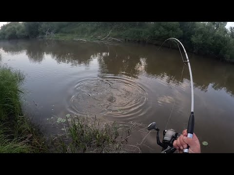 Видео: ВОТ ЭТО НАЧАЛО! НЕ ОЖИДАЛ ТАКОГО! ТОЛЬКО ПРИЕХАЛ СРАЗУ ПОЙМАЛ САЗАНА. ТУТ ЖЕ ЕГО И ПОЖАРИЛИ НА ОБЕД!