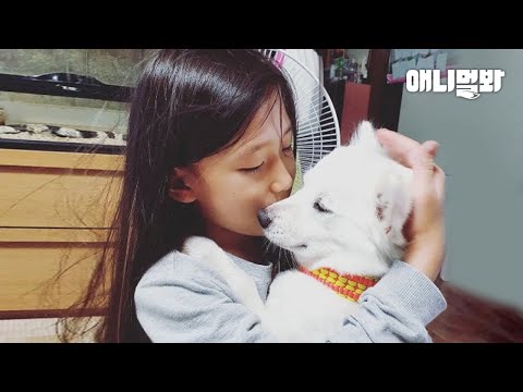 Видео: Обновление о собаке, спасенной с собачьей фермы