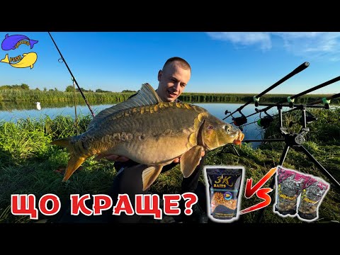 Видео: Який прикорм кращий для великого коропа??