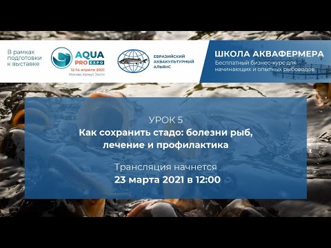 Видео: УРОК 5. Как сохранить стадо: болезни рыб, лечение и профилактика
