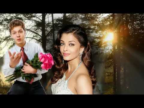 Видео: Алые цветы