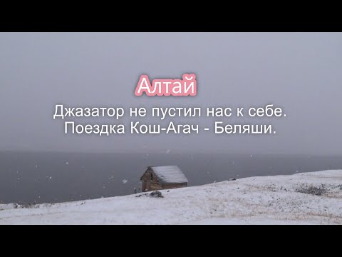 Видео: Ехать или нет? Дорога от Кош-Агача до Беляшей. The road. #travel #алтай