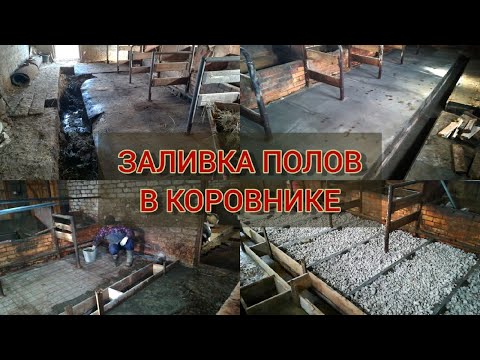 Видео: Решил ЗАЛИТЬ ПОЛЫ в коровнике ЗАНОВО | причины