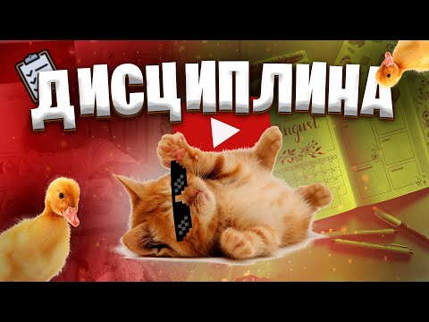 Видео: ЧТО ТАКОЕ ДИСЦИПЛИНА? | или ролик о том, как я не справилась с ней