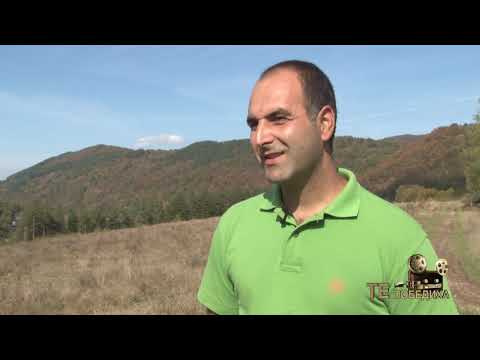 Видео: Те победиха: Планинското животновъдство - битка, автор: Валентина Спасова