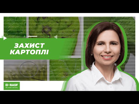 Видео: Захист картоплі: кліматичні умови, хвороби та їх контроль