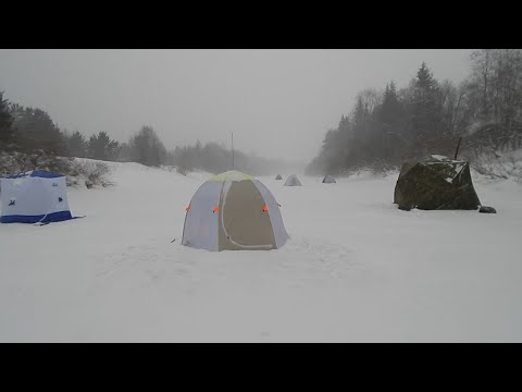 Видео: Зимняя рыбалка в палатке в метель/ Наловил ельца