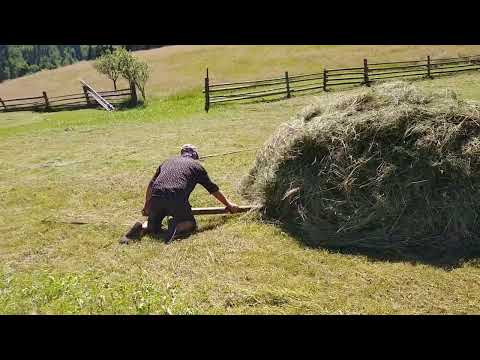 Видео: В Бісків на сіно