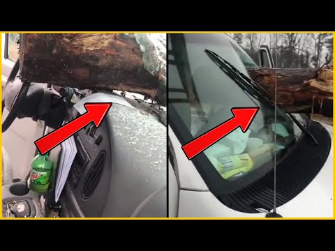 Видео: Дерево врезается в машину || 25 ужасающих аварий с деревьями #9