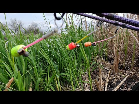 Видео: В Миколаєві з ночівлею на карася
