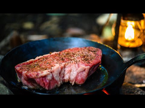 Видео: одиночный кемпинг 🦜wildlife🦜wagyu стейк [короткая версия] кустарник Приготовление костра
