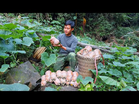 Видео: 4 месяца Садоводство, Посадка редиса, Сбор тыквы-Приготовление пищи. Скидка 1 год на Grid Cabin