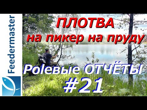 Видео: Ловля плотвы на фидер, пикер. Как наладить реализацию поклевок при ловле на стоячем водоеме