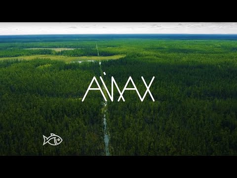 Видео: БЭС ЫЙА | АЙАХ