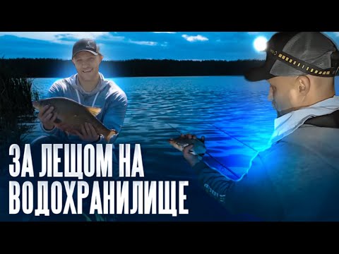 Видео: Клевало ВСЮ НОЧЬ! Я просто сменил дистанцию и начал ловить лещей на фидер в сентябре!  #feeder
