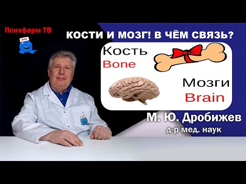 Видео: Кости и мозг! В чём связь?