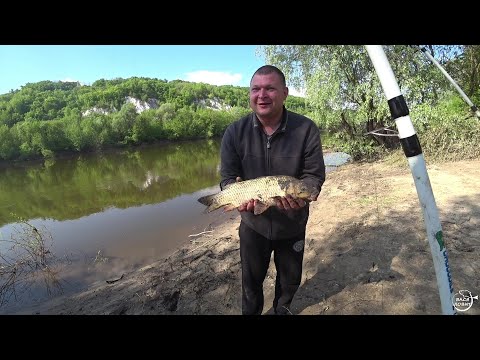 Видео: КАРАСЬ САЗАН СОМ рДОН Первый выезд на рыбалку с ночёвкой в этом году