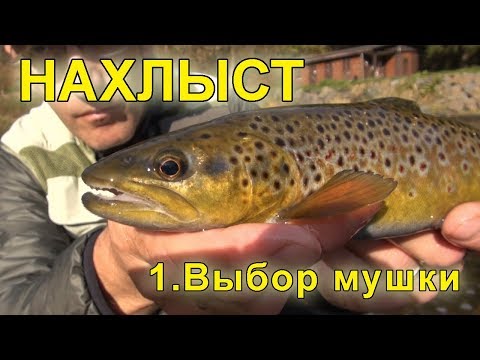 Видео: НАХЛЫСТ для начинающих: выбор мушки / FLYFISHING for beginners: choosing right fly