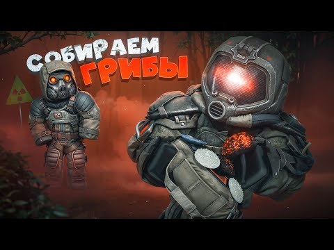 Видео: 999 ГРИБОВ в STALCRAFT X | СТАЛКРАФТ