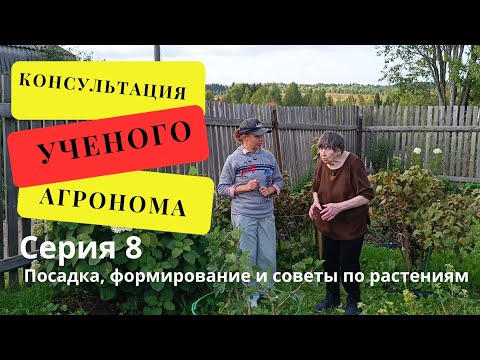 Видео: Консультация Ученого агронома.  Серия 8  Советы по растениям