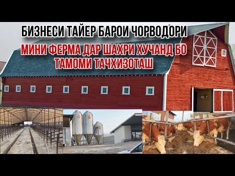 Видео: Ферма барои чорво парвари тамоми чизош кати дар шахри Хучанд 🇹🇯 3 января 2025 г.
