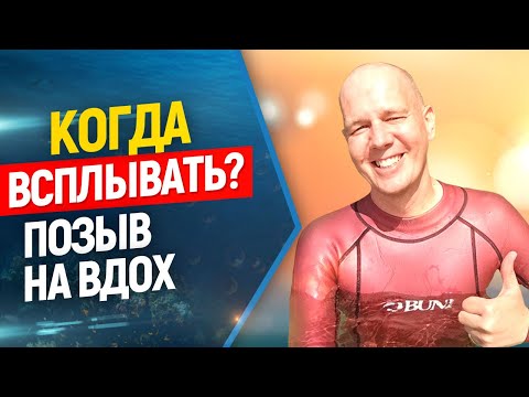 Видео: 👌Позыв на вдох. Когда всплывать ? Зоны дискомфорта.