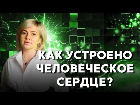 Видео: Всё о СТРОЕНИИ СЕРДЦА | Подготовка к ЕГЭ 2023 по БИОЛОГИИ