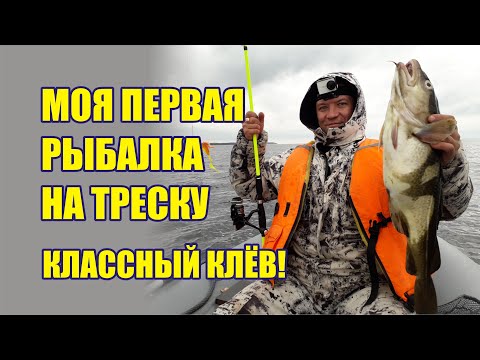 Видео: Моя первая морская рыбалка с ловлей трески в Белом море.