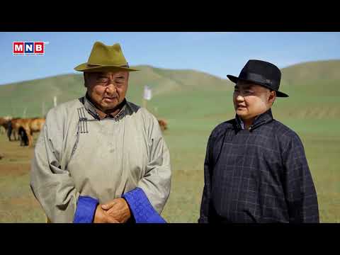 Видео: Жаргалтайн дэлгэр Монгол Наадам: Тод манлай уяач, Хөдөлмөрийн баатар Д.Даваахүү