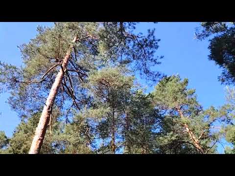 Видео: Работа ради работы!