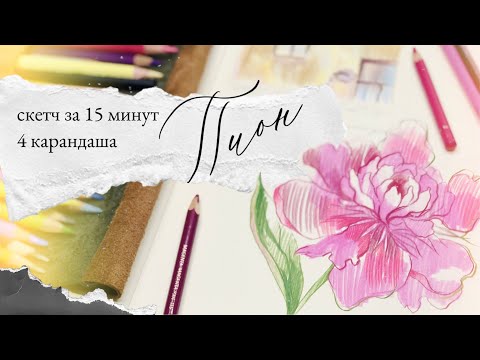 Видео: Скетчинг цветными карандашами | пионы за 15 минут