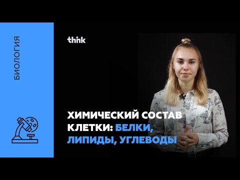 Видео: Химический состав клетки. Белки. Липиды. Углеводы | Биология