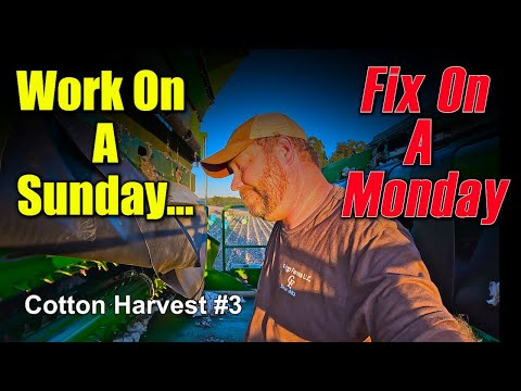 Видео: Работа в воскресенье... Решаем в понедельник. Сбор хлопка №3