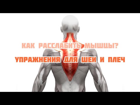 Видео: #1 Упражнения для шеи и плеч. Улучшаем кровообращение в голове
