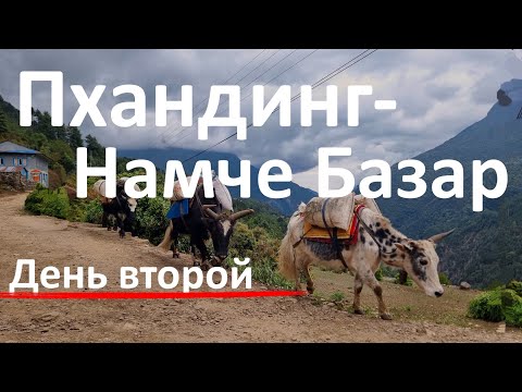 Видео: Трек Пхандинг Намче Базар  Эверест становится ближе