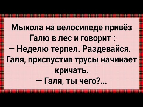 Видео: Как Мыкола в Лес Галю Возил! Сборник Свежих Анекдотов! Юмор!