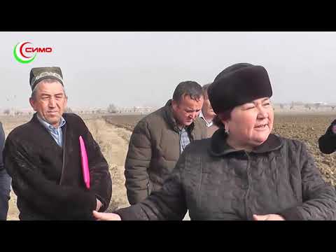 Видео: Пайгом 12 02 2021