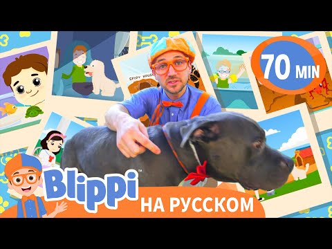 Видео: Блиппи в приюте для животных 🐾🏠 | Блиппи на русском