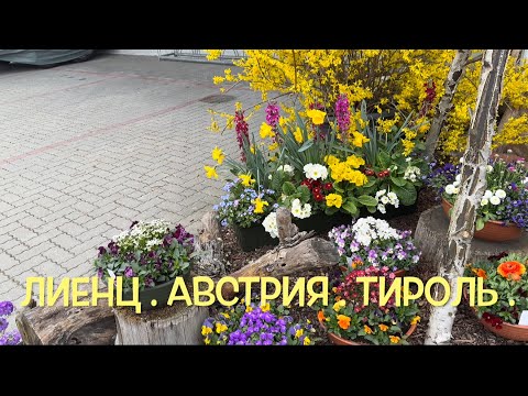 Видео: Приехали в Лиенц в цветочный магазин . Тироль . Австрия.