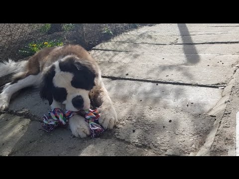 Видео: 🙂ХАОТИЧНО ВИДЕО🙂