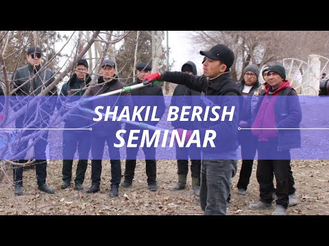 Видео: Кучли ўсувчи олма дарахтини шаклини тўғирлаш