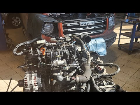 Видео: Haval Dargo 2.0 Жор масла. Снятие мотора. Метки ГРМ.