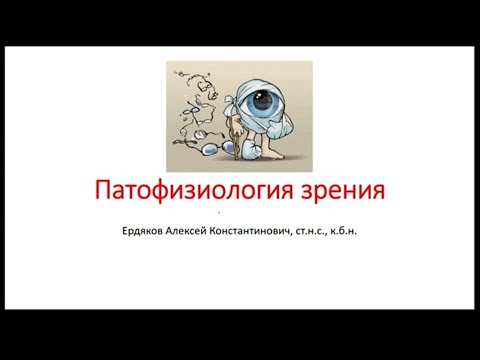 Видео: Патофизиология зрения и сетчатки