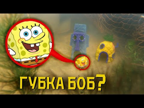 Видео: ВЫ НЕ ПОВЕРИТЕ МОЙ ПОДВОДНЫЙ ДРОН СНЯЛ РЕАЛЬНОГО ГУБКУ БОБА *спанч Боб существует*