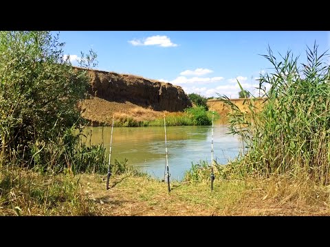 Видео: СКОЛЬКО ЖЕ ТУТ РАЗНОЙ РЫБЫ? РЫБАЛКА НА РЕКЕ ЕГОРЛЫК В АВГУСТЕ!!!