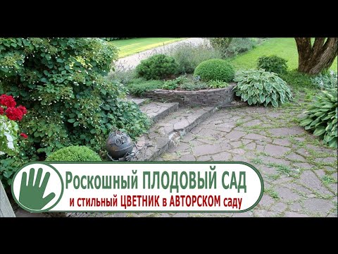 Видео: Видео журнал «Сады в отличной форме №88» Роскошный ПЛОДОВЫЙ САД и стильный ЦВЕТНИК в АВТОРСКОМ саду
